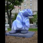 Bears on Parade: Aurora "Bear"ealis