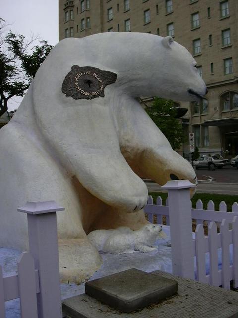 Bears on Parade: Snow Bank